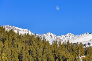 山脉 森林 树木 雪 自然 景观 4k壁纸 3840x2160