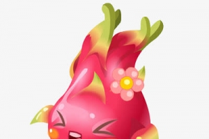 火龙果