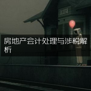 房地产会计税务处理与解析
