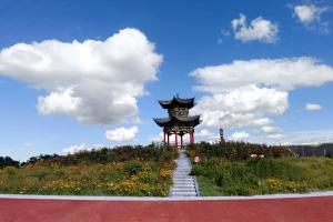 蓝天 白云 牡丹园