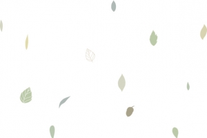 树叶漂浮