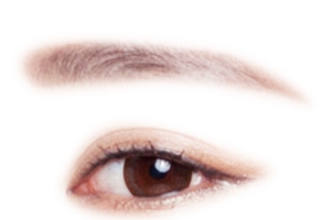 精致人物眉眼高清PNG透明免扣设计素材免费下载