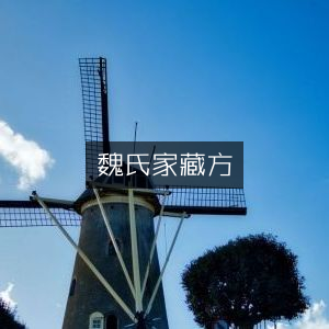魏氏家藏方·古典文集精选