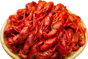 卤虾小龙虾虾高清PNG透明免扣设计素材免费下载