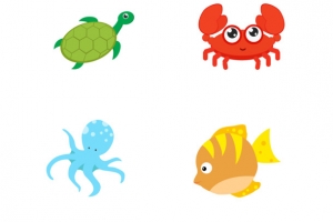 海底动物海洋生物
