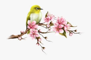 精美手绘中国风花鸟插画素材