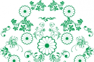花纹