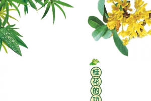 中国美食桂花粽子素材