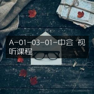 中会A010301视听课程