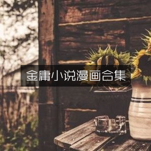 金庸小说漫画全集，文学艺术珍藏版