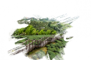 茶园背景