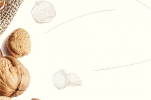 美味零食坚果干果食品淘宝促销banner