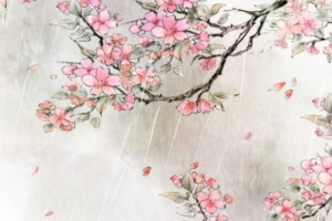 古风桃花梅花插画