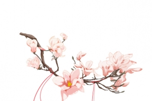 清新小花卡通插画17