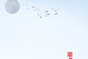 浅蓝色水墨中国风淡雅背景