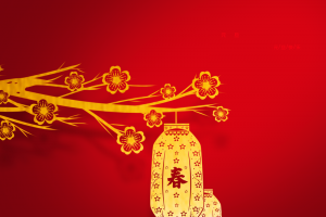 元旦春节树枝梅花灯笼中国风背景