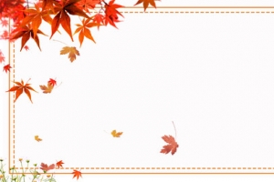 秋季上新文艺手绘小清新banner