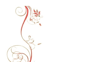 花朵插图