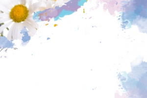 抽象花朵背景