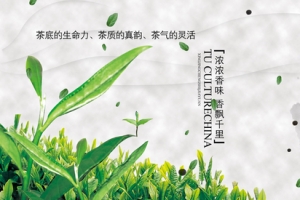 茶中国风背景