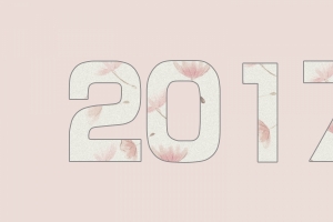 2017粉色新年素材图片