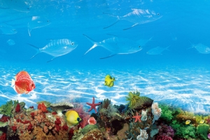海底世界背景