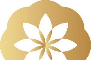 金色剪纸喜庆梅花
