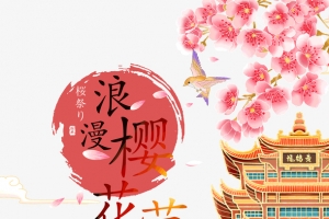 浪漫樱花节樱花季春天