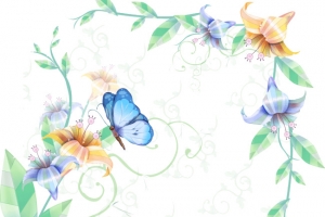 蝴蝶花