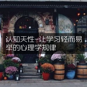 认知天性，掌握心理学规律，让学习轻松高效，提升个人能力必备书籍