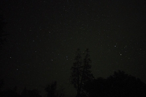 树木 夜晚 星星 天空 星空 4k壁纸 3840x2160