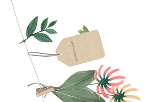 春天晾衣夹清新春天手绘鲜花