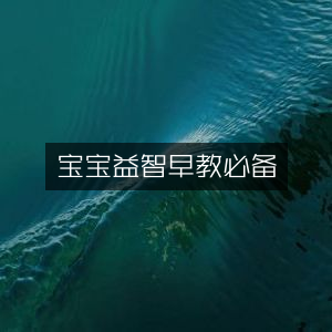 宝宝智力启蒙，早教必备之选