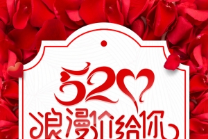 520节日大放价背景素材