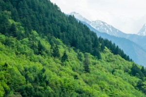 绿色青山5120x1440高清鱼屏双屏风景壁纸免费下载