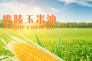 食品促销主图