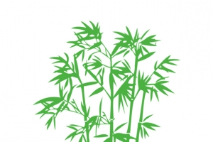 矢量绿色竹子下载