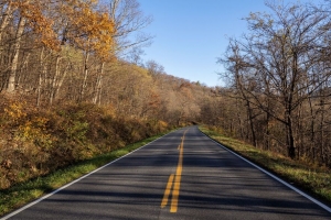 道路 转弯 树木 沥青 4k壁纸 3840x2160
