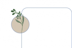 边框植物古风
