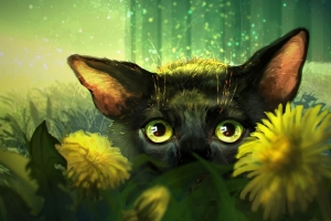 猫 花 艺术 眼睛 浏览 4k壁纸 3840x2160