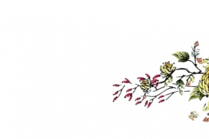中国风水墨菊花背景