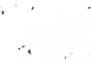 免抠透明漂浮墨点