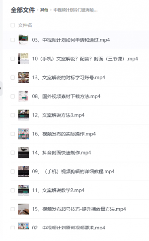 中视频冷门项目，高效陪跑课程，高播放高收益