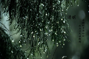 清明时节  倍感思人