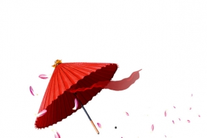 红色桃花伞