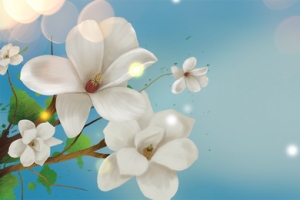 化妆品护肤品面膜清新花光束背景banner