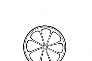 单个柠檬片柠檬简笔画