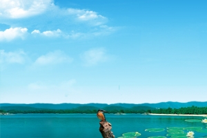 湖泊背景