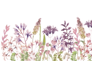 紫色小花花丛温馨