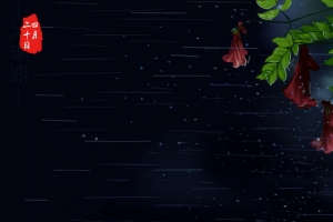 谷雨小清新绿叶红花黑色背景